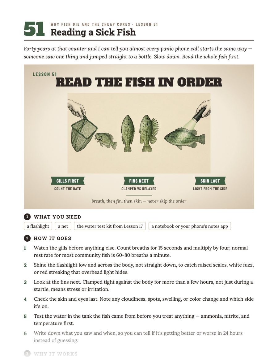 A page from the book